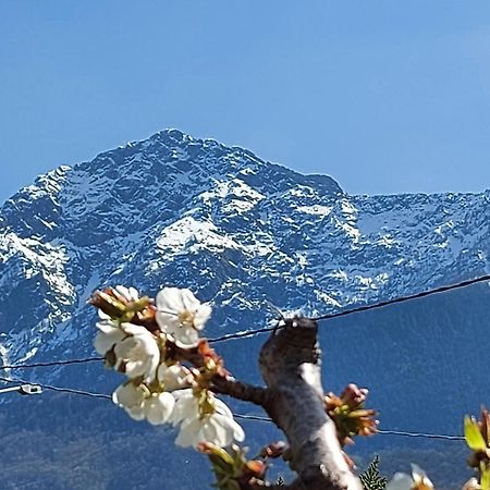 Villa Sole Colico Exteriér fotografie