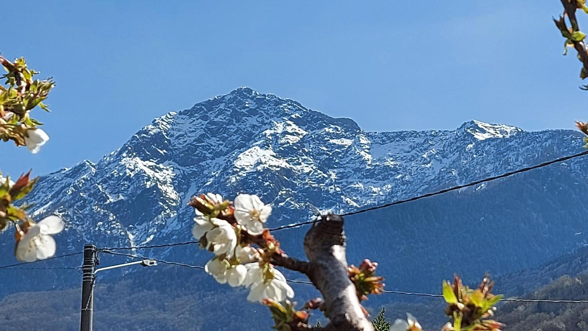Villa Sole Colico Exteriér fotografie